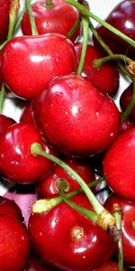 Sweet Cherry,Food,Berries,Fruits