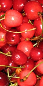 Cerise,Nourriture,Contexte,Baies,Fruits