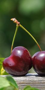 Sweet Cherry,Food,Berries,Ripe,Cherry