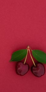 Sweet Cherry,Food,Cherry,Berry,Leaves