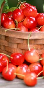 Cerise,Fruits,Nourriture