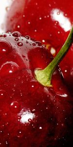 Fruits,Cerise,Nourriture