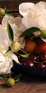 Sweet Cherry,Nectarine,Peonies,Flowers,Food