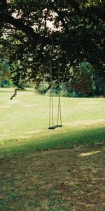 Swing,Grass,Miscellanea,Miscellaneous,Wood,Tree,Greens,Lawn