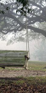 Swing,Nature,Miscellanea,Miscellaneous,Park