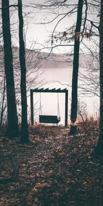 Swing,Nature,Trees,Autumn,Mood,Foliage