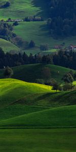 Switzerland,Hirzel,Nature,Valley,Fields