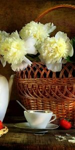 Tablewares,Background,Still Life