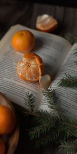 Tangerines,Branches,Spruce,Fir,Fruit,Food,Citrus,Book