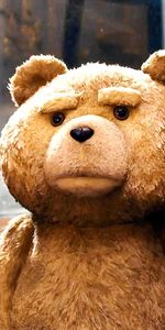 Cine,Bears,Ted