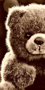 Teddy Bear,Glare,Miscellanea,Miscellaneous,Toy