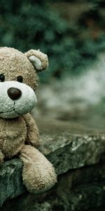 Teddy Bear,Miscellanea,Miscellaneous,Bear,Soft Toy