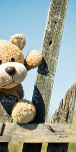 Teddy Bear,Miscellanea,Miscellaneous,Toy,Fence