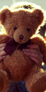 Teddy Bear,Miscellanea,Toy,Hands,Miscellaneous