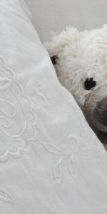 Jouet,Oreiller,Patterns,Ours En Peluche,Nounours,Divers