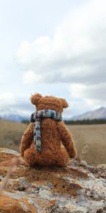 Teddy Bear,Rock,Miscellanea,Toy,Loneliness,Miscellaneous,Stone