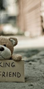 Teddy Bear,Toy,Inscription,Words