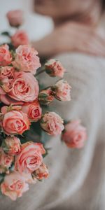 Tendre,Bouquet,Roses,Fleurs,Rose