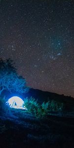 Tent,Stars,Shine,Light,Trees,Dark,Night