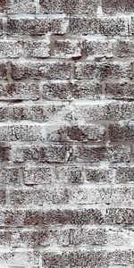 Texture,Textures,Wall,Brick