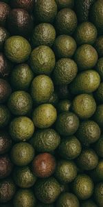 Frutas,Textura,Texturas,Aguacate,Palta