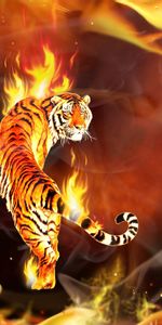 Tiger,Embraced,Around,Flame,Abstract