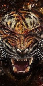 Tigres,Dessins,Animaux