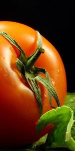 Branches,Tomate,Drops,Nourriture