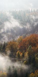 Top,Nature,Trees,Mountains,Vertex,Fog