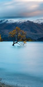 Montagnes,Sommet,Bois,Arbre,Hauts,Couvert De Neige,Snowbound,Nature,Neige,Lac