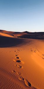 Maroc,Traces,Nature,Désert,Sable