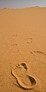 Traces,Nature,Sable,Horizon,Plage