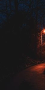 Track,Night,Dark,Lamp,Lantern