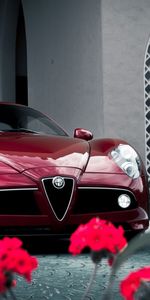 Альфа Ромео (Alfa Romeo),Транспорт,Машины