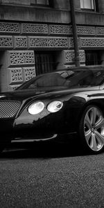 Transporte,Automóvil,Bentley