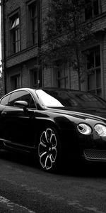 Transports,Voitures,Photo Artistique,Bentley