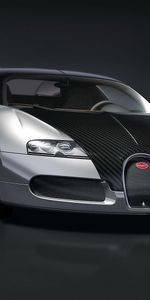 Transport,Auto,Bugatti