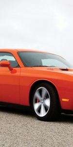 Transports,Voitures,Dodge Challenger