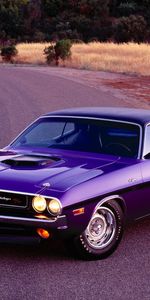 Transports,Voitures,Dodge Challenger