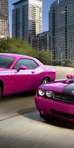 Transports,Voitures,Dodge