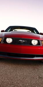 Transports,Voitures,Ford,Mustang