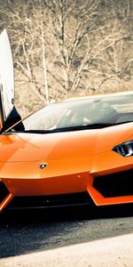 Transports,Lamborghini,Voitures