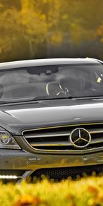 Transports,Voitures,Mercedes