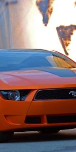 Transports,Voitures,Mustang