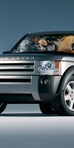 Транспорт,Машины,Рендж Ровер (Range Rover)