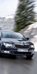 Transports,Voitures,Skoda