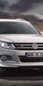 Transport,Auto,Volkswagen