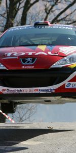 Transport,Sports,Auto,Races,Peugeot