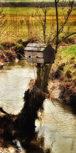 Tree,Field,Birdhouse,Nature,Wood,River