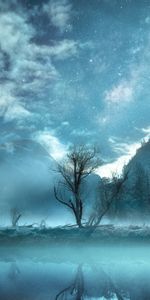 Tree,Fog,United States,Yosemite Valley,Nature,Mountains,Usa,Wood